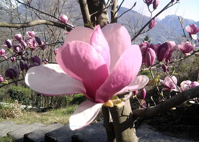 Ferienhaus Casa Tornina By Interhome